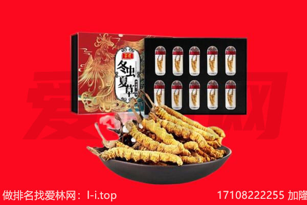 徐州回收虫草.jpg